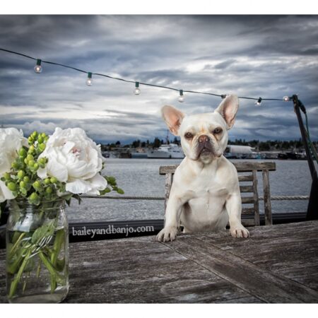 Bam on Tugboat Sally